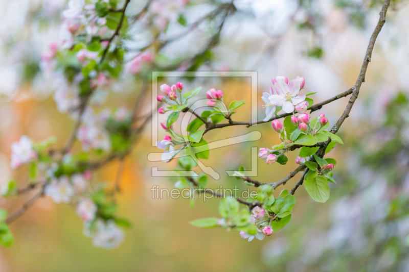 frei wählbarer Bildausschnitt für Ihr Bild auf Label