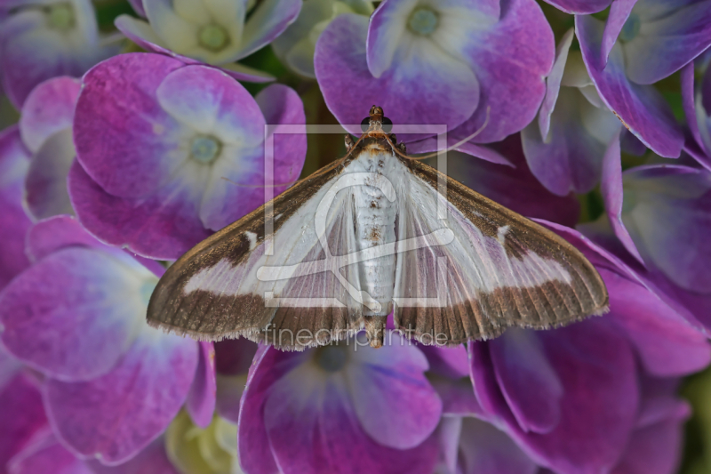 frei wählbarer Bildausschnitt für Ihr Bild auf Label