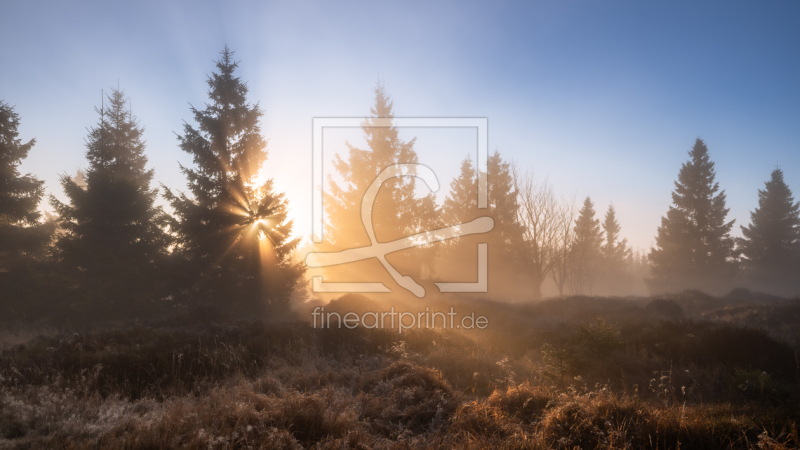 frei wählbarer Bildausschnitt für Ihr Bild auf Label