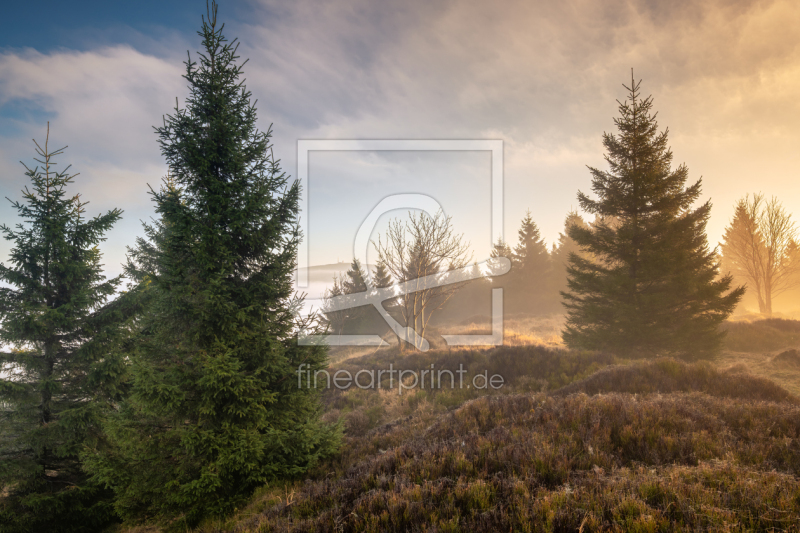 frei wählbarer Bildausschnitt für Ihr Bild auf Label