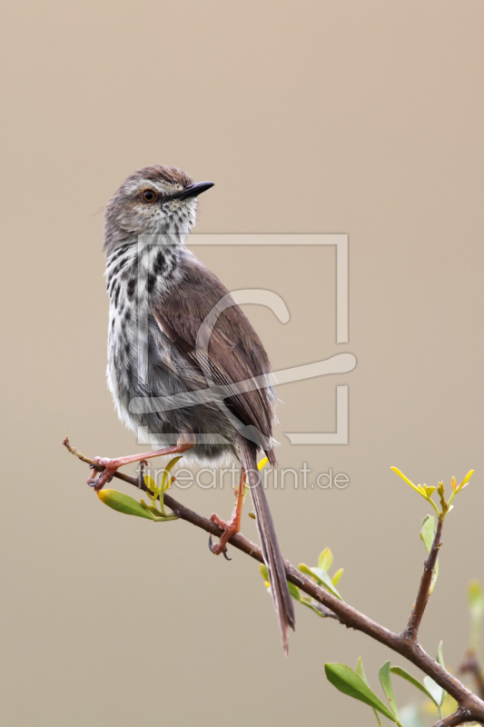 frei wählbarer Bildausschnitt für Ihr Bild auf Label