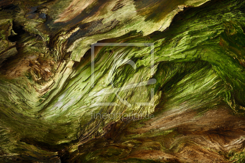 frei w&auml;hlbarer Bildausschnitt f&uuml;r Ihr Bild auf Label