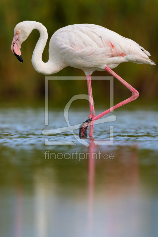 frei wählbarer Bildausschnitt für Ihr Bild auf Label