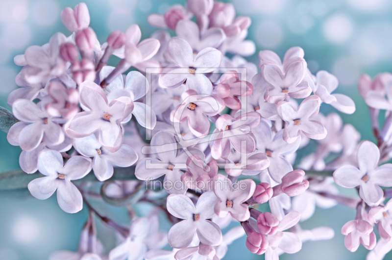 frei wählbarer Bildausschnitt für Ihr Bild auf Label