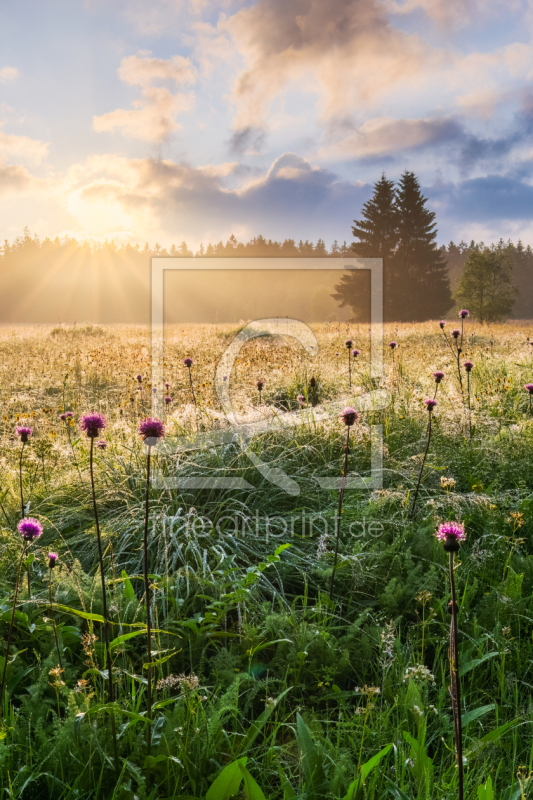 frei w&auml;hlbarer Bildausschnitt f&uuml;r Ihr Bild auf Label