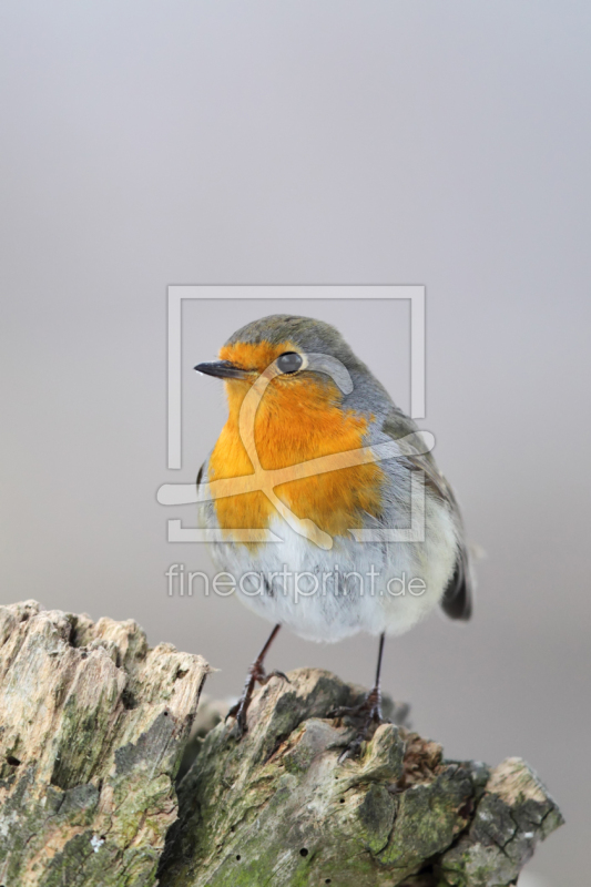 frei w&auml;hlbarer Bildausschnitt f&uuml;r Ihr Bild auf Label