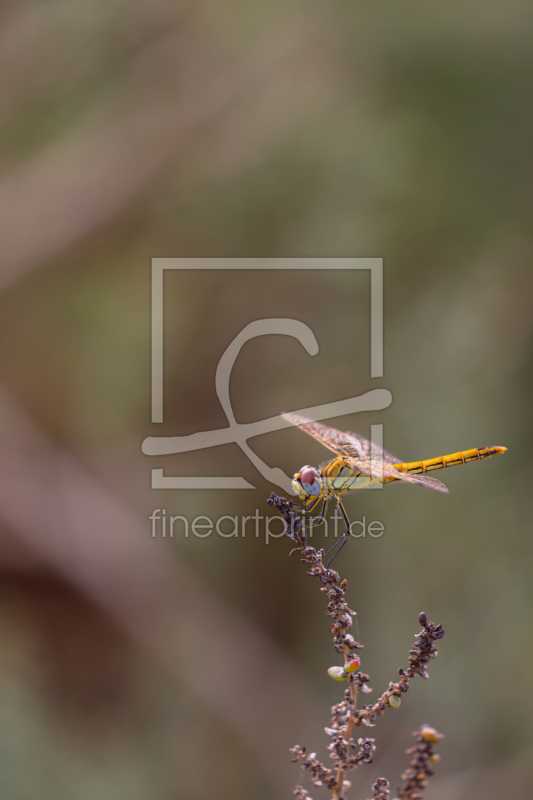 frei w&auml;hlbarer Bildausschnitt f&uuml;r Ihr Bild auf Label