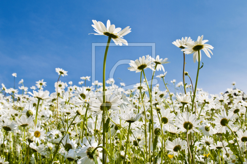 frei w&auml;hlbarer Bildausschnitt f&uuml;r Ihr Bild auf Label