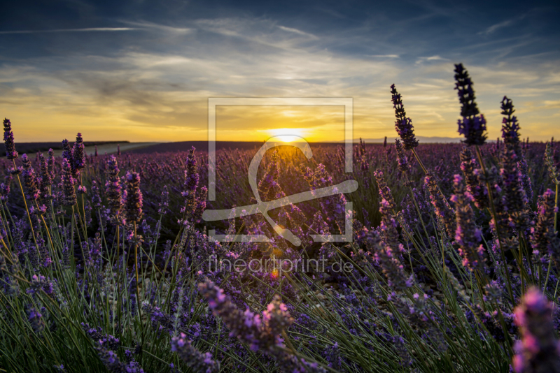 frei w&auml;hlbarer Bildausschnitt f&uuml;r Ihr Bild auf Label