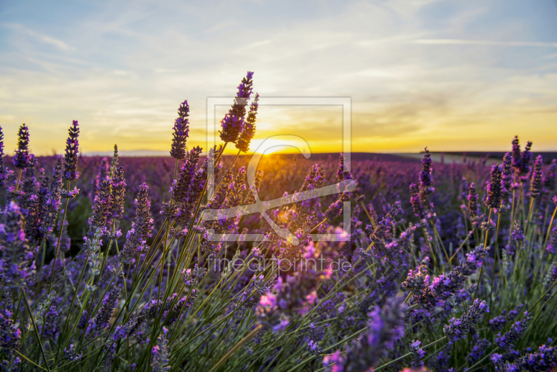 frei w&auml;hlbarer Bildausschnitt f&uuml;r Ihr Bild auf Label