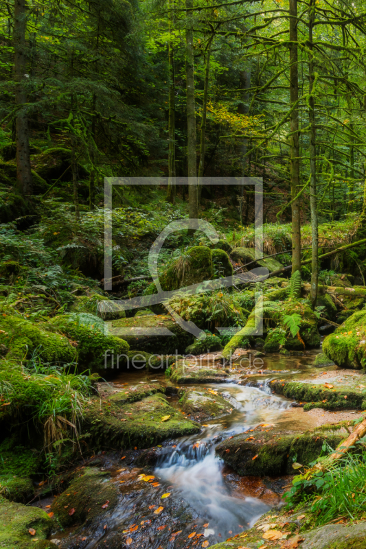 frei w&auml;hlbarer Bildausschnitt f&uuml;r Ihr Bild auf Label