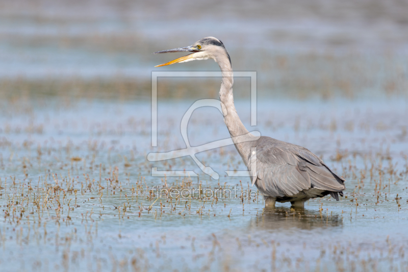 frei w&auml;hlbarer Bildausschnitt f&uuml;r Ihr Bild auf Label