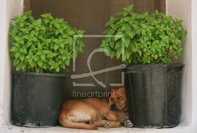 frei wählbarer Bildausschnitt für Ihr Bild auf Label