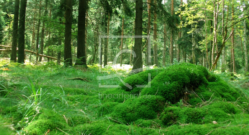 frei wählbarer Bildausschnitt für Ihr Bild auf Label