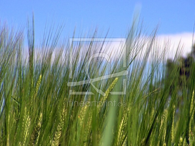 frei wählbarer Bildausschnitt für Ihr Bild auf Label