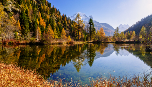 Bild-Nr: 12852403 Herbst in den französischen Alpen Erstellt von: Achim Thomae