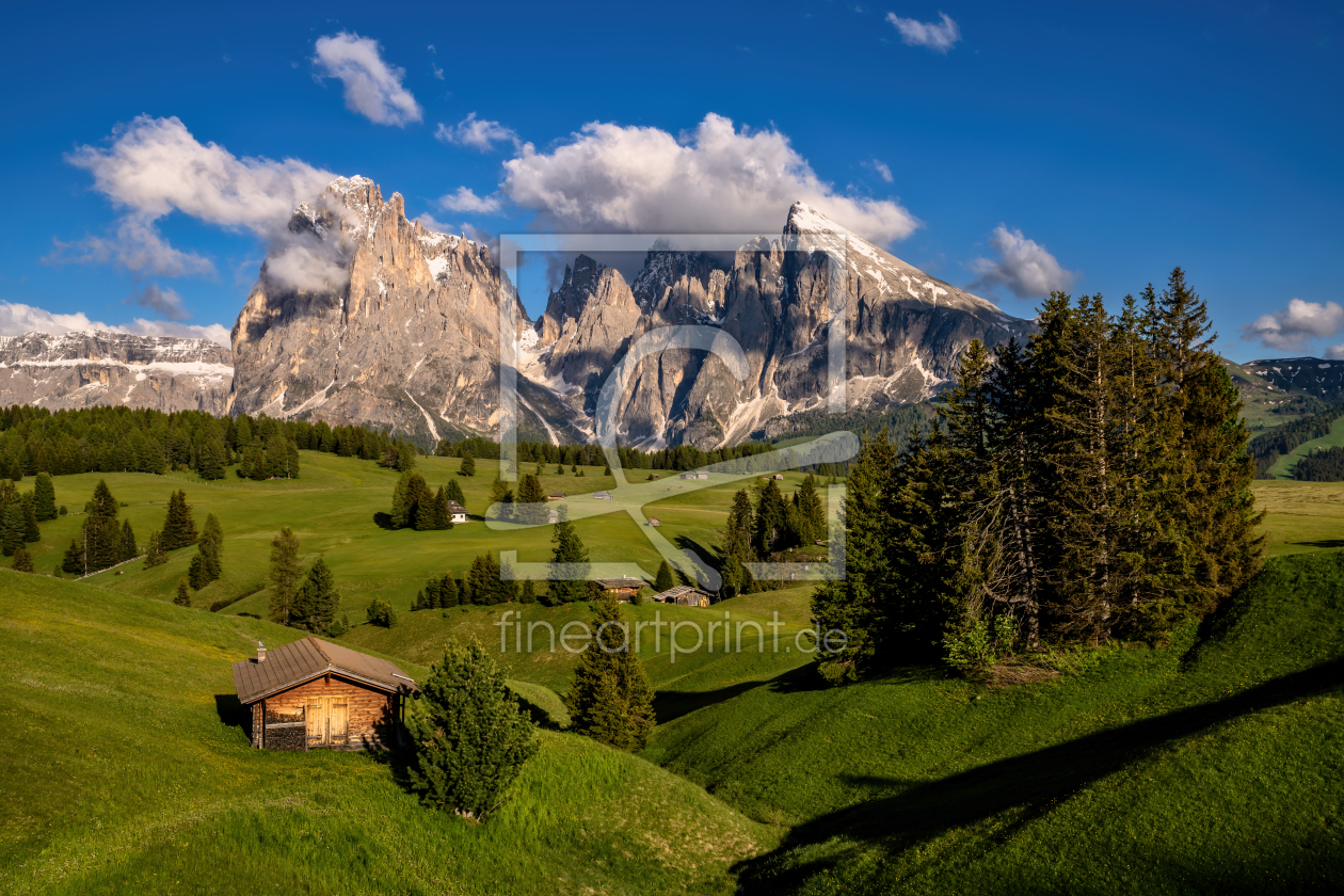 Frühling auf der Seiser Alm in Südtirol als