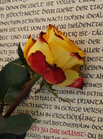 /leinwand/bigthumb/10010485.jpg