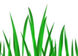 Green Impression - Panorama - 10033965 /leinwand/bigthumb/10033965.jpg