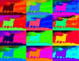 /leinwand/bigthumb/10036503.jpg