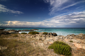 Formentera Beach - 10108722 /leinwand/bigthumb/10108722.jpg