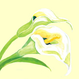 Pure white calla - 10260993 /leinwand/bigthumb/10260993.jpg