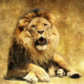 The King - 10366507 /leinwand/bigthumb/10366507.jpg