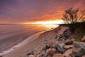 Goldenes Licht an der Ostseeküste - 10385507 /leinwand/bigthumb/10385507.jpg