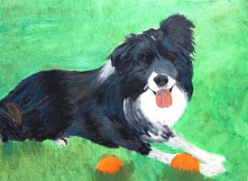 Bordercollie - 10405667 /leinwand/bigthumb/10405667.jpg