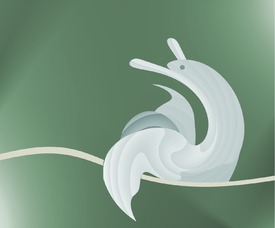 Schnecke - 10464366 /leinwand/bigthumb/10464366.jpg