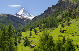 /leinwand/bigthumb/10563487.jpg