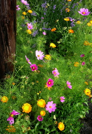 Bauerngartenecke, rustikal, bunt, filigran zart - 10578853 /leinwand/bigthumb/10578853.jpg
