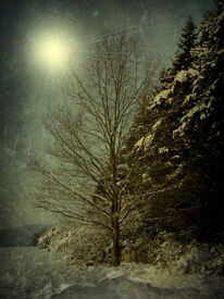 Winternacht - 10580129 /leinwand/bigthumb/10580129.jpg