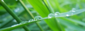 NATURE - 10587049 /leinwand/bigthumb/10587049.jpg