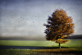 Herbstlich gekleidet - 10670376 /leinwand/bigthumb/10670376.jpg