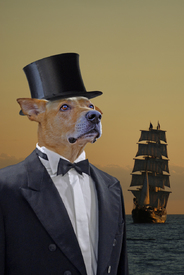 Phileas Dog - Reise um die Erde in 80 Tagen - 10706295 /leinwand/bigthumb/10706295.jpg