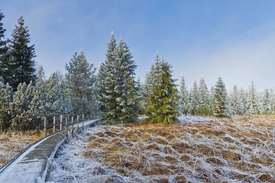 Wege und Pfade - Novemberzucker - 10740955 /leinwand/bigthumb/10740955.jpg