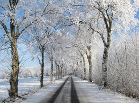 Winteralle - 10774999 /leinwand/bigthumb/10774999.jpg