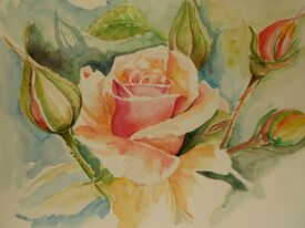 Rose /leinwand/bigthumb/10797501.jpg