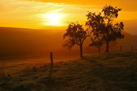 Morgenstund hat - - - 11042311 /leinwand/bigthumb/11042311.jpg