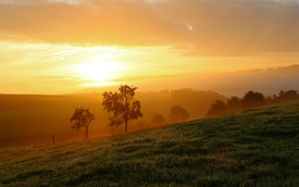 HERBSTNEBEL - 11049163 /leinwand/bigthumb/11049163.jpg