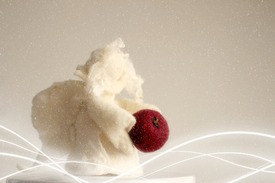 Weihnachtsdekoration - 11058691 /leinwand/bigthumb/11058691.jpg