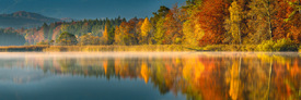 COLORS OF FALL - 11076149 /leinwand/bigthumb/11076149.jpg