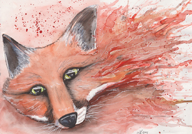 What does the Fox say? - 11142850 /leinwand/bigthumb/11142850.jpg