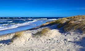 im Ostseewind - 11443753 /leinwand/bigthumb/11443753.jpg