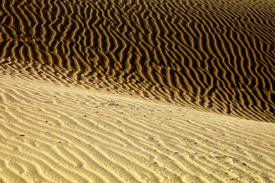 Dünen von Playa del Ingles - 11466979 /leinwand/bigthumb/11466979.jpg