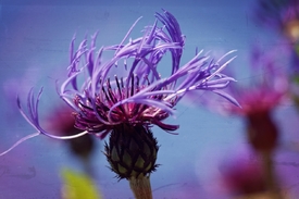 Colours - 11499557 /leinwand/bigthumb/11499557.jpg
