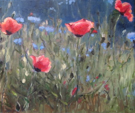 Roter Mohn - 11528008 /leinwand/bigthumb/11528008.jpg