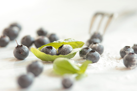 Frische Blaubeeren - 11555092 /leinwand/bigthumb/11555092.jpg