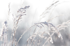 Winter Pastell - 11675160 /leinwand/bigthumb/11675160.jpg